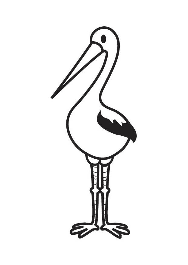 ooievaar Kleurplaat ooievaar