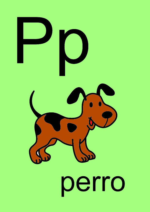 p Afbeelding p