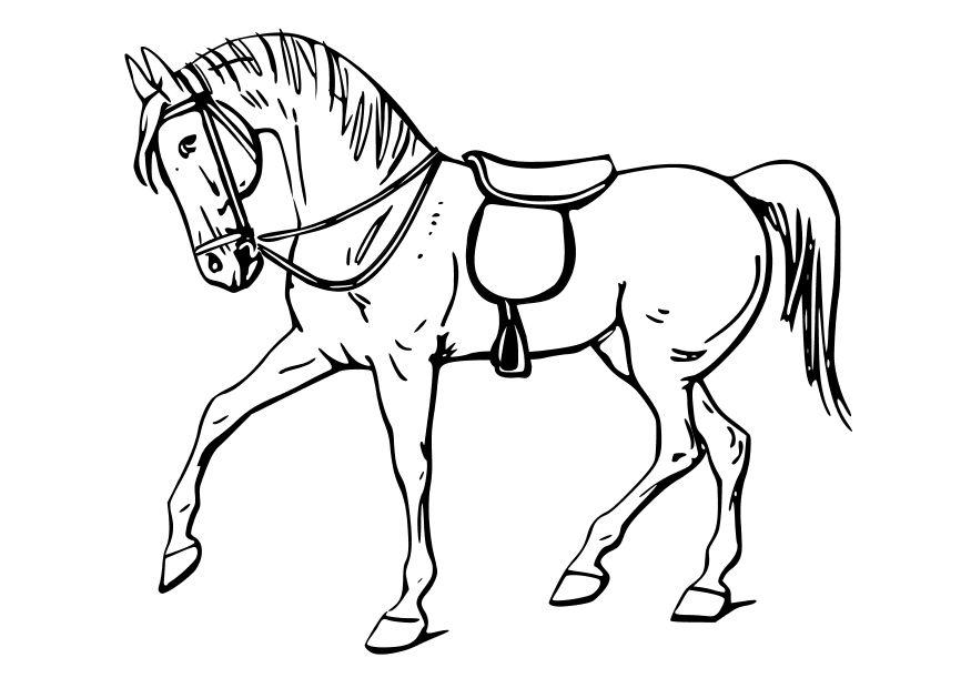 paard Kleurplaat paard