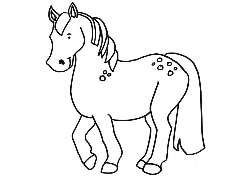 paard Kleurplaat paard