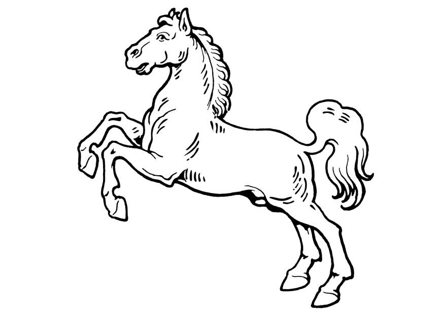 paard Kleurplaat paard