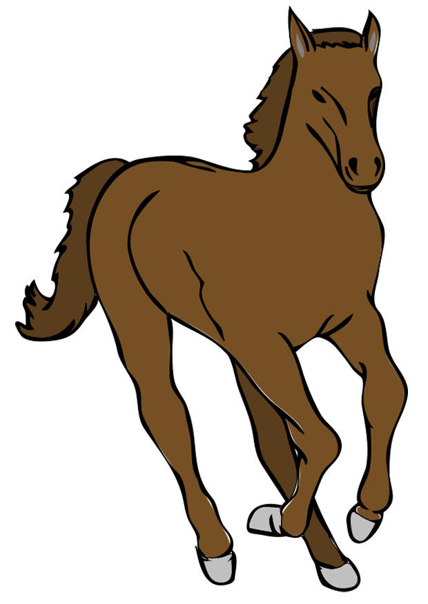 paard Afbeelding paard
