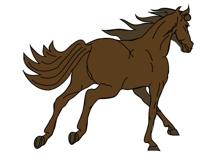 paard Afbeelding paard