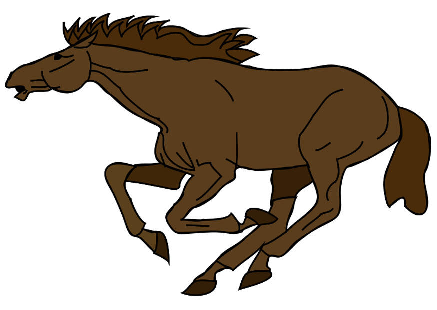 paard Afbeelding paard