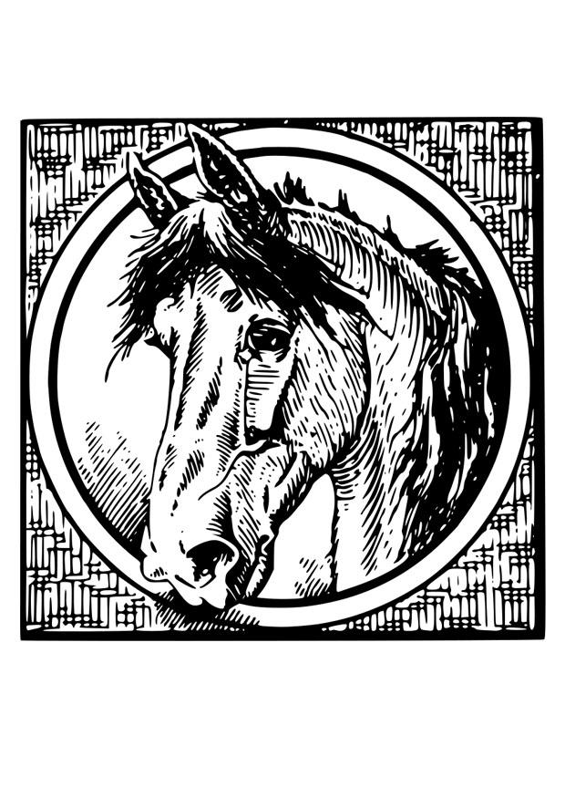 paard Kleurplaat paard