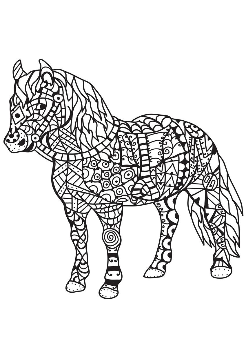 paard Kleurplaat paard