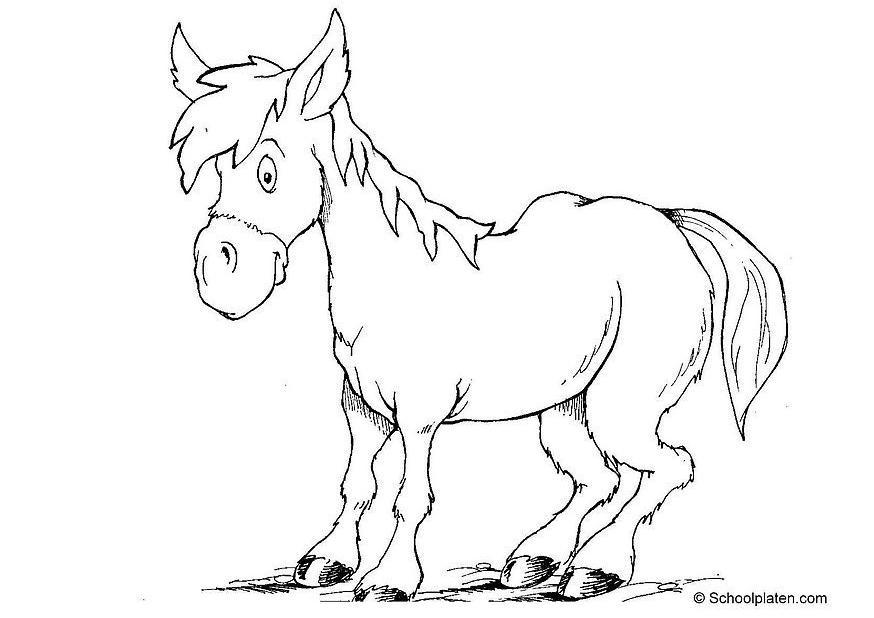 paard Kleurplaat paard