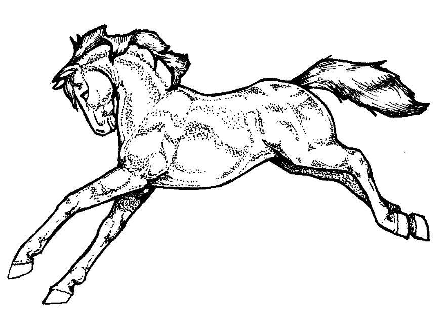 paard Kleurplaat paard