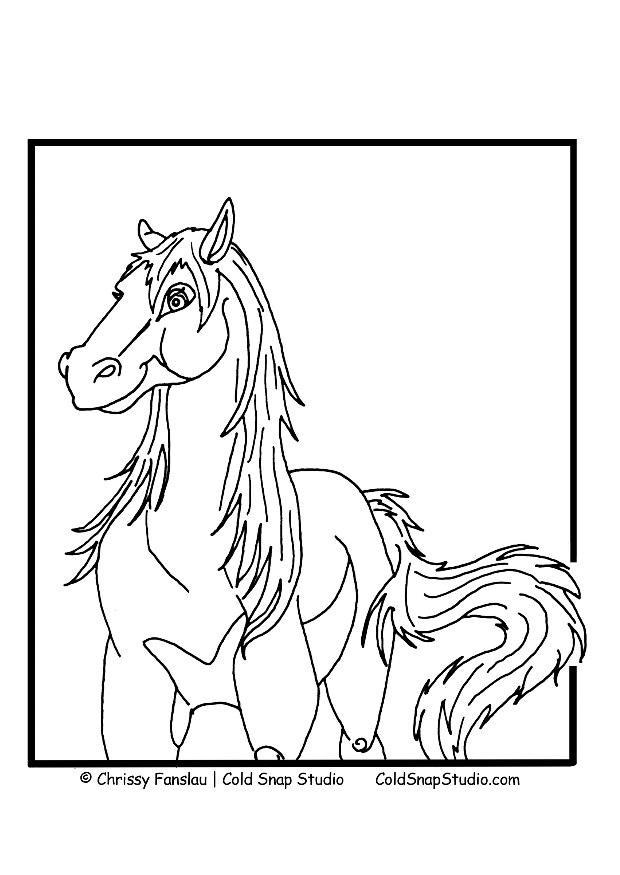 paard Kleurplaat paard