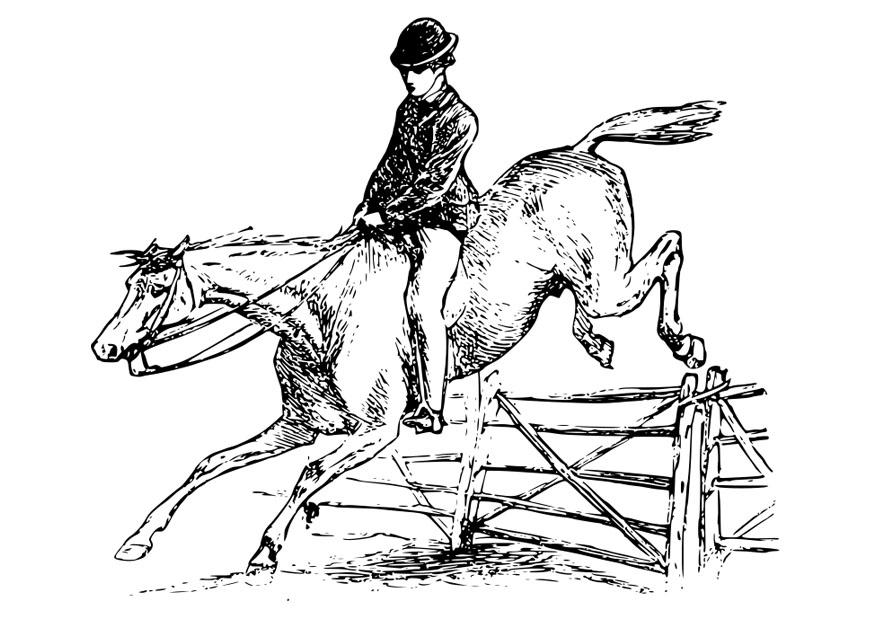 paard met ruiter Kleurplaat paard met ruiter