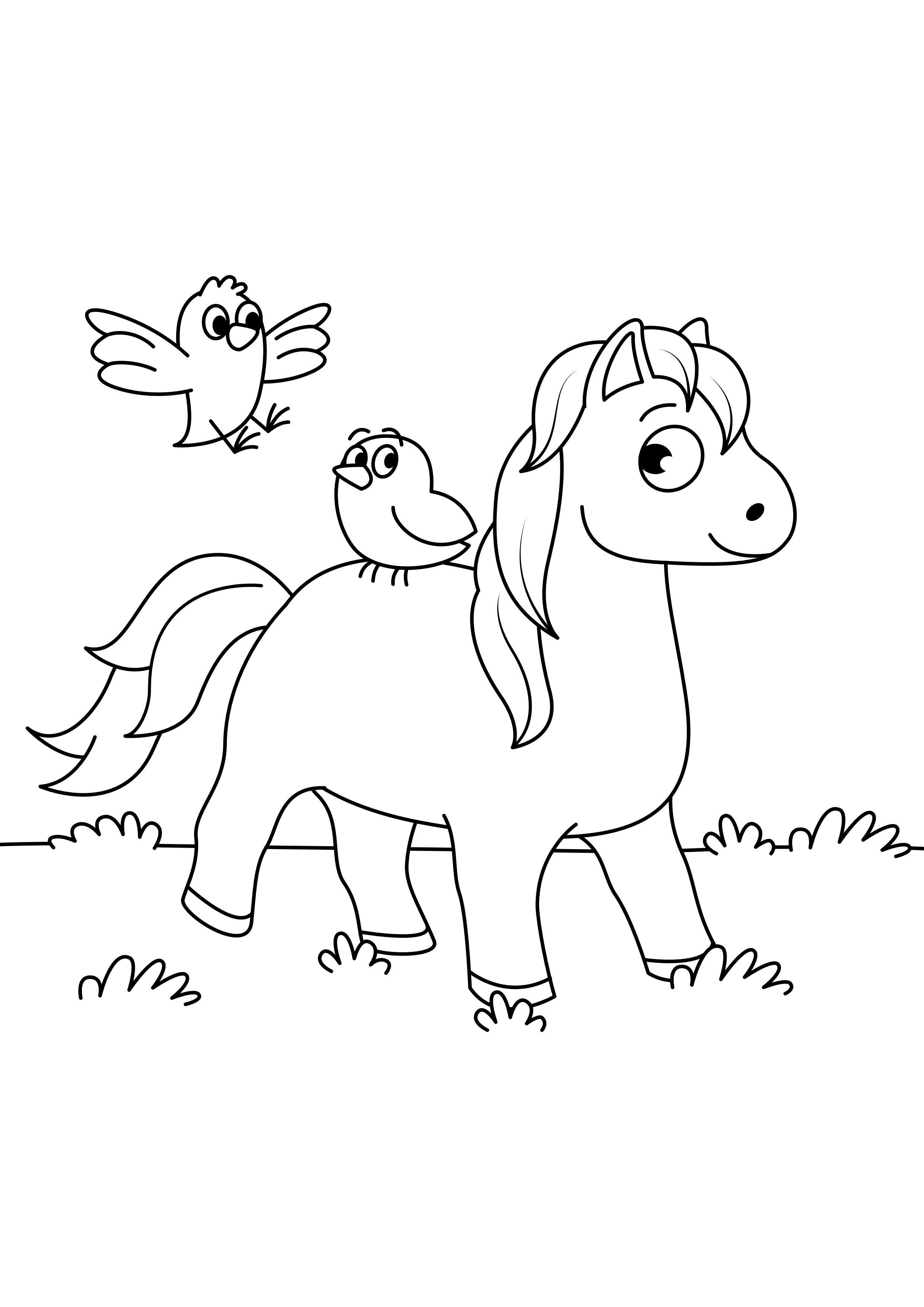 paard met vogels Kleurplaat paard met vogels