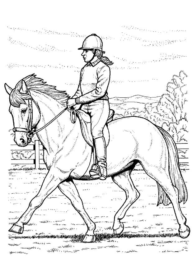 paard rijden Kleurplaat paard rijden