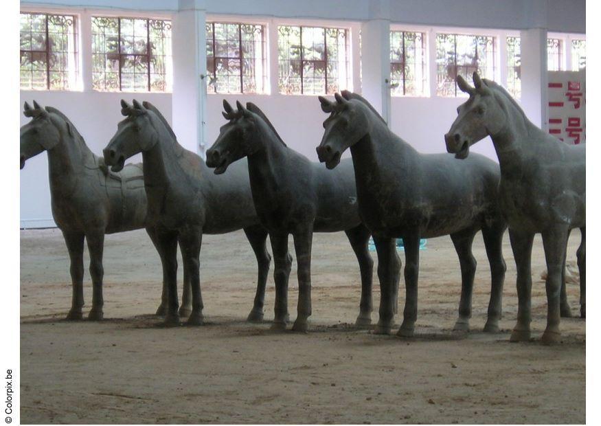 paarden xian Foto paarden xian