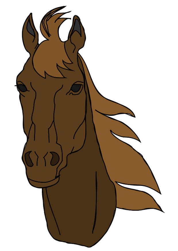 paardenkop Afbeelding paardenkop