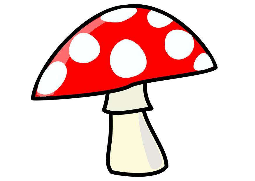 paddestoel Afbeelding paddestoel