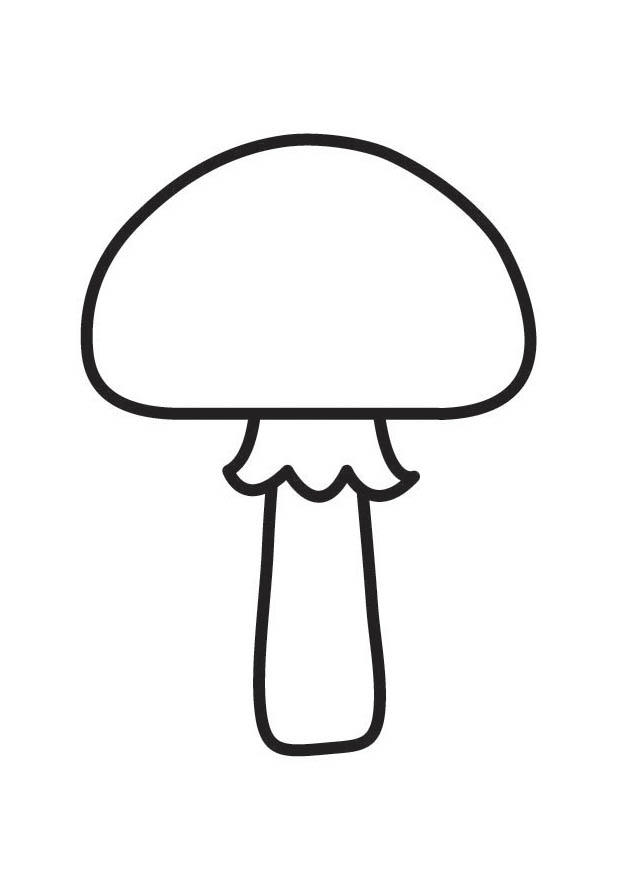 paddestoel Kleurplaat paddestoel