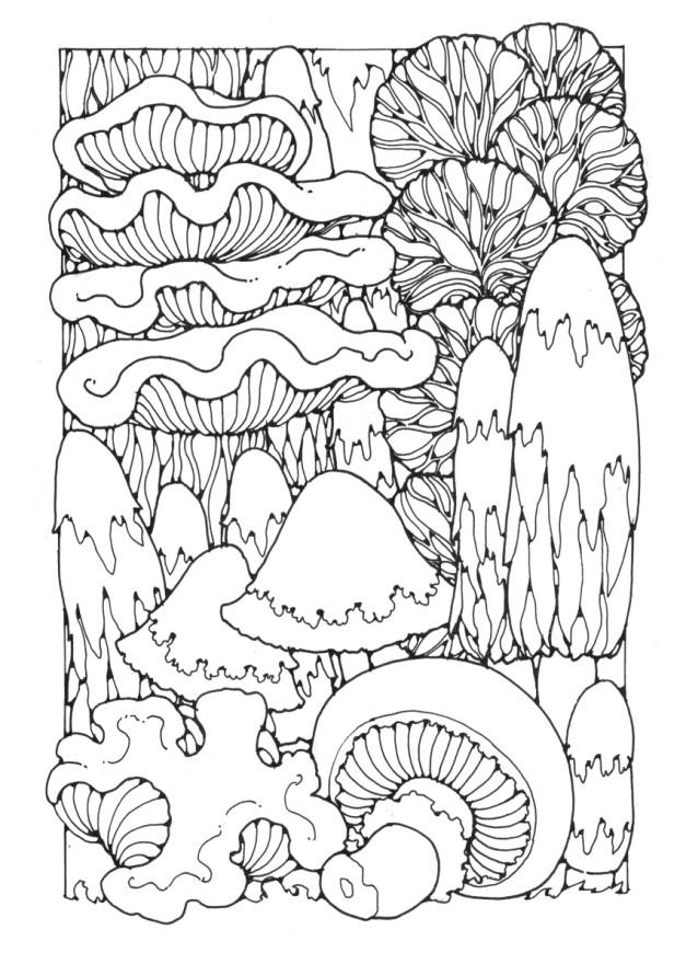 paddestoelen Kleurplaat paddestoelen