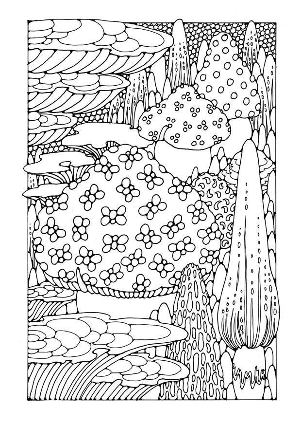 paddestoelen Kleurplaat paddestoelen