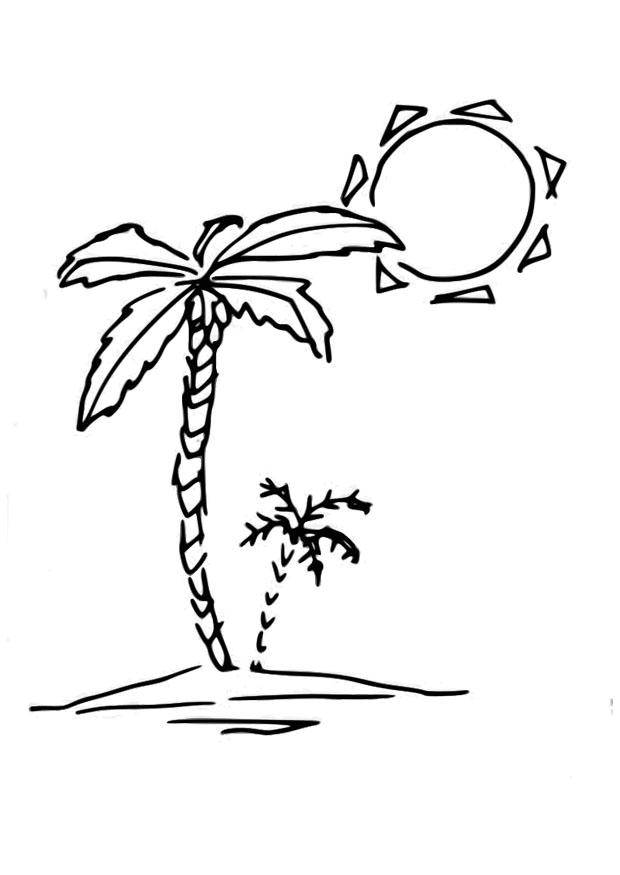 palmboom Kleurplaat palmboom