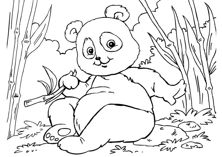 Kleurplaat panda