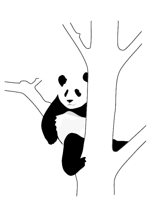 pandabeer in boom Kleurplaat pandabeer in boom