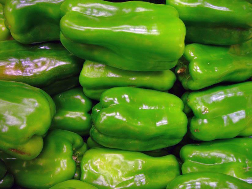 paprika groen Foto paprika groen