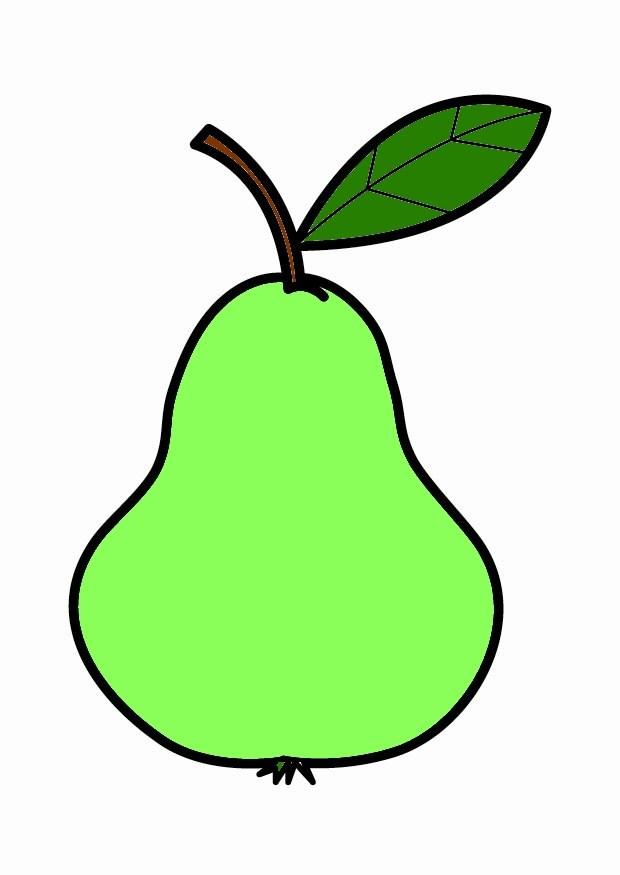 peer Afbeelding peer