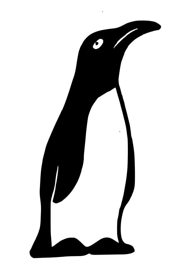 pinguin Kleurplaat pinguin