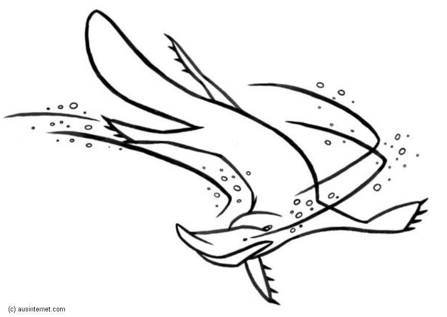 platypus Kleurplaat platypus