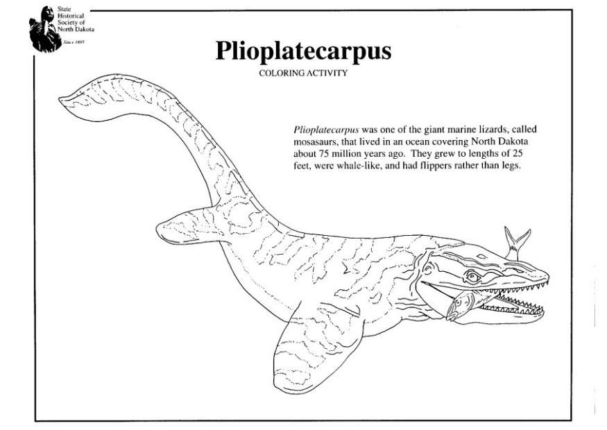 plioplatecarpus Kleurplaat plioplatecarpus