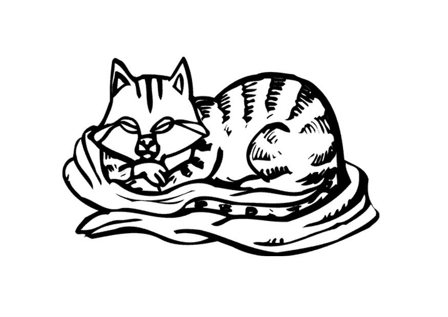 poes Kleurplaat poes