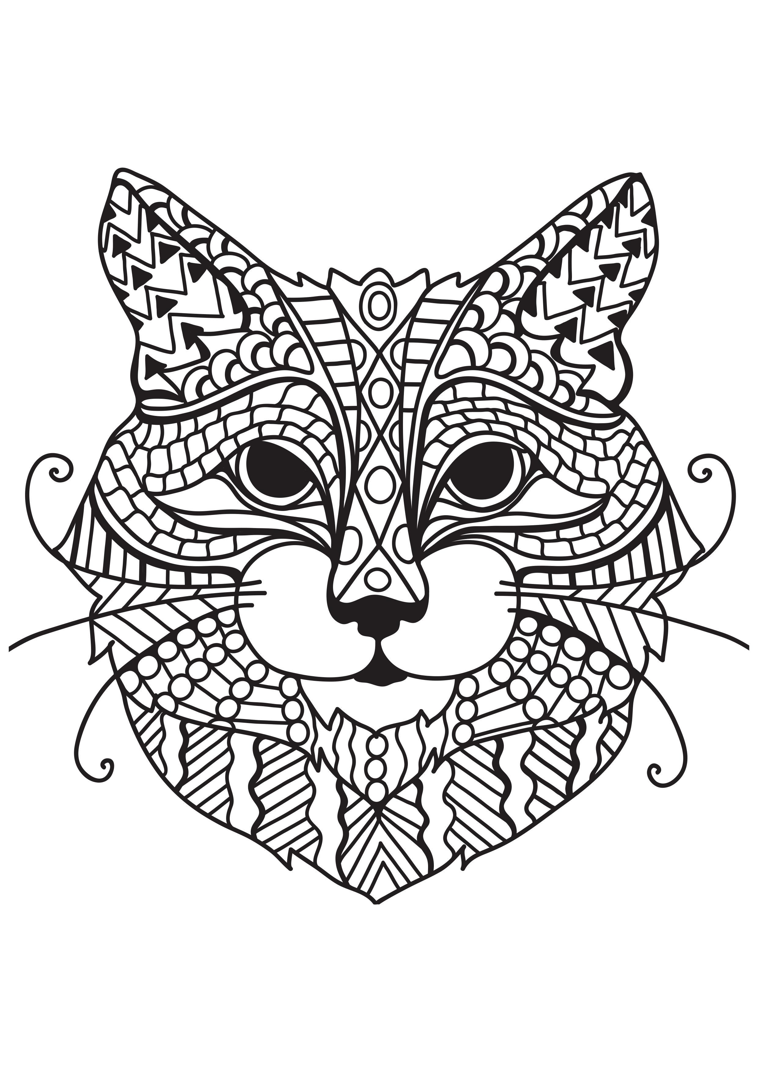 poes met snorharen Kleurplaat poes met snorharen