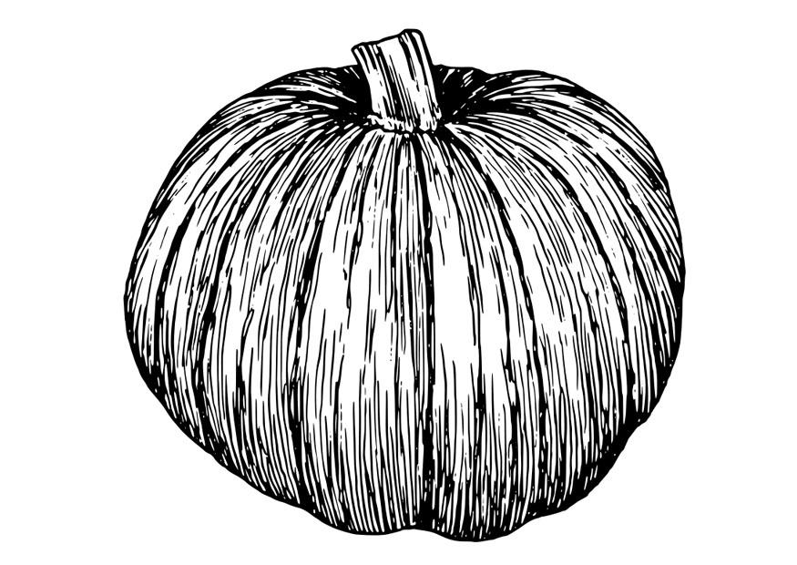 pompoen Kleurplaat pompoen