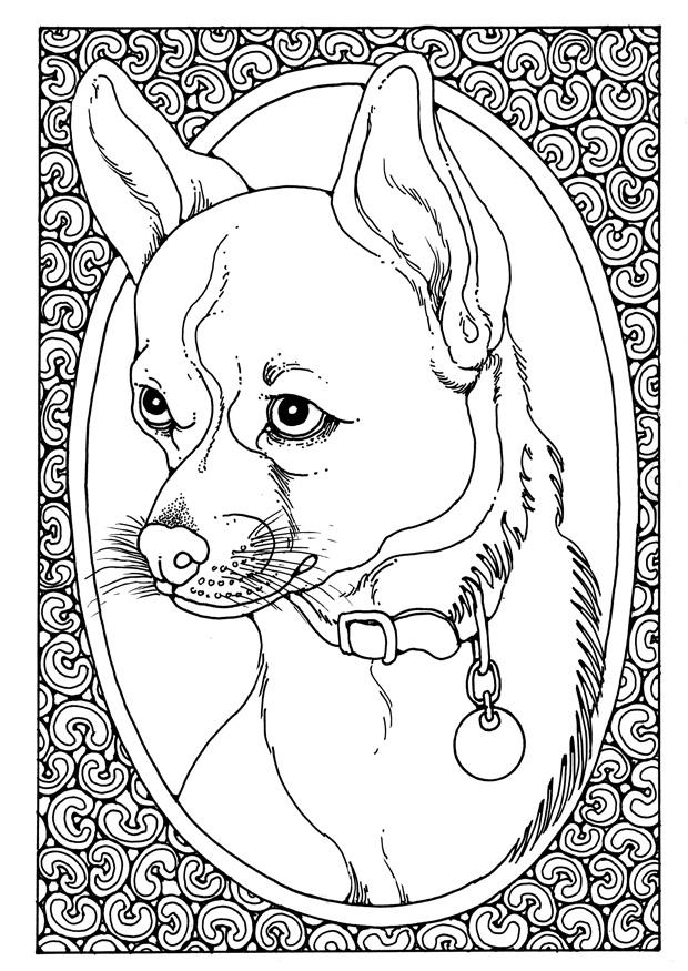 portret van hond Kleurplaat portret van hond