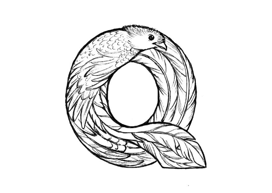 q-quetzal Kleurplaat q-quetzal