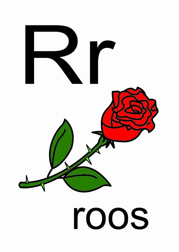 r Afbeelding r