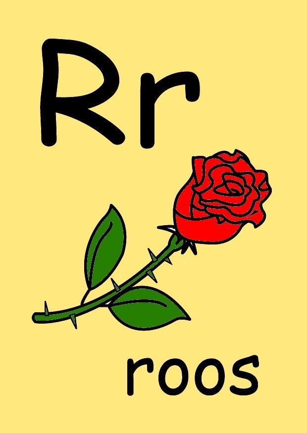 r Afbeelding r