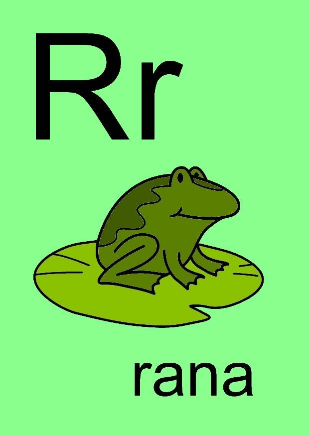 r Afbeelding r