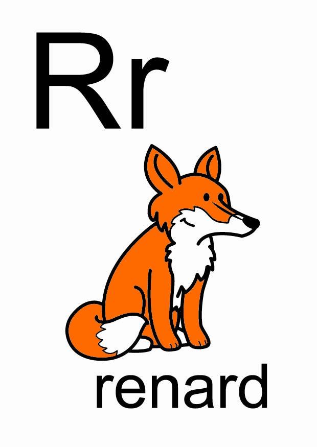 r Afbeelding r