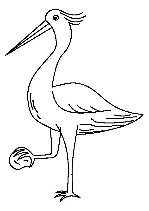 reiger Kleurplaat reiger
