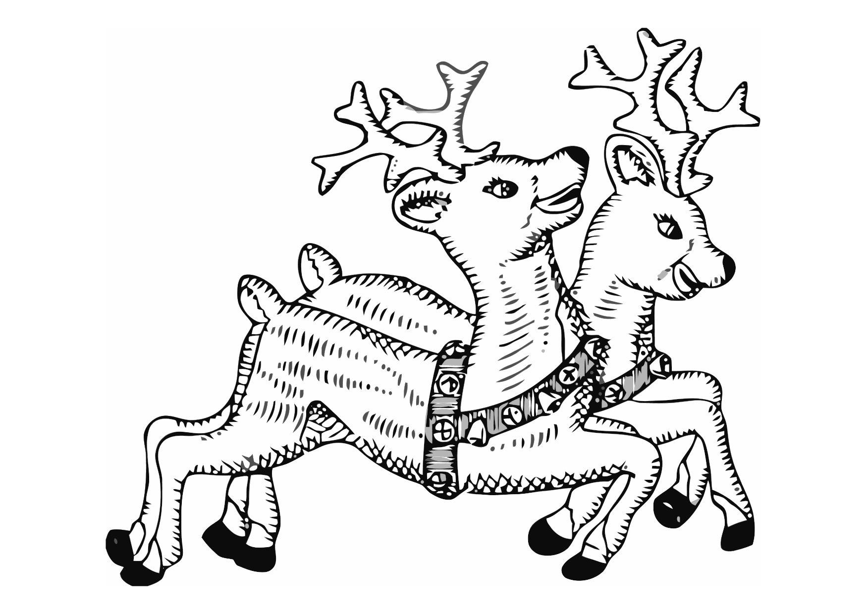rendieren Kleurplaat rendieren