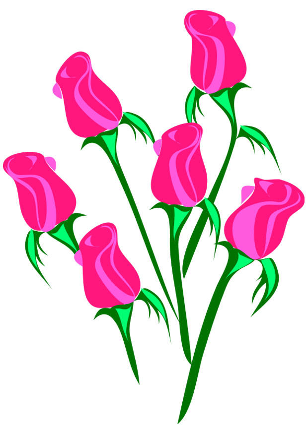 rozen Afbeelding rozen