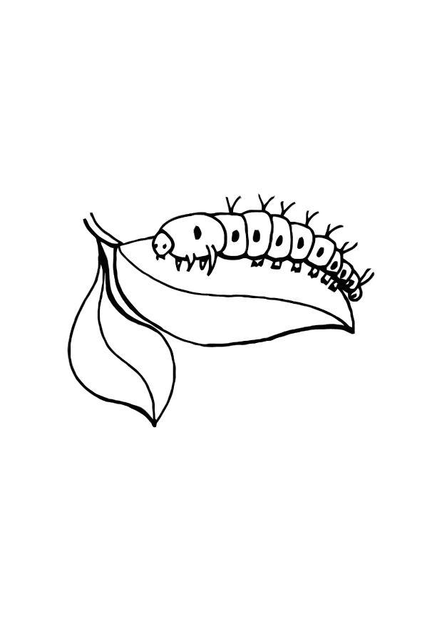 rups Kleurplaat rups