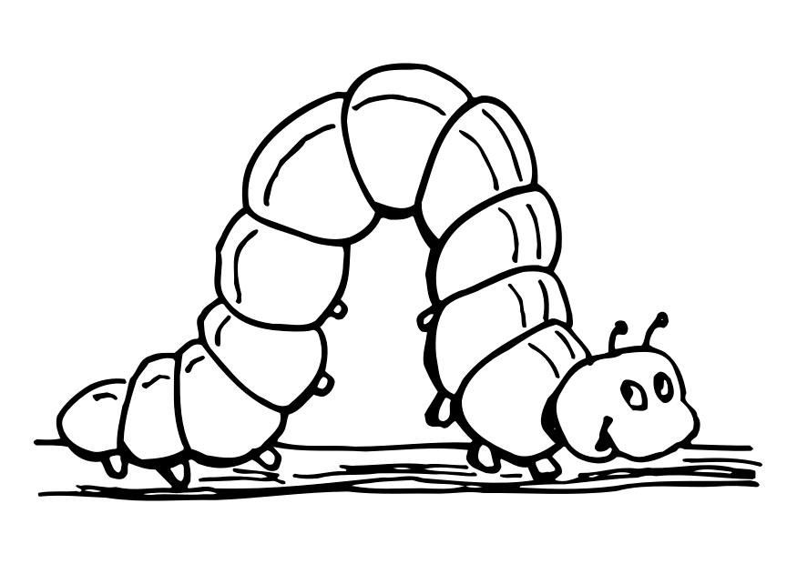 rups Kleurplaat rups