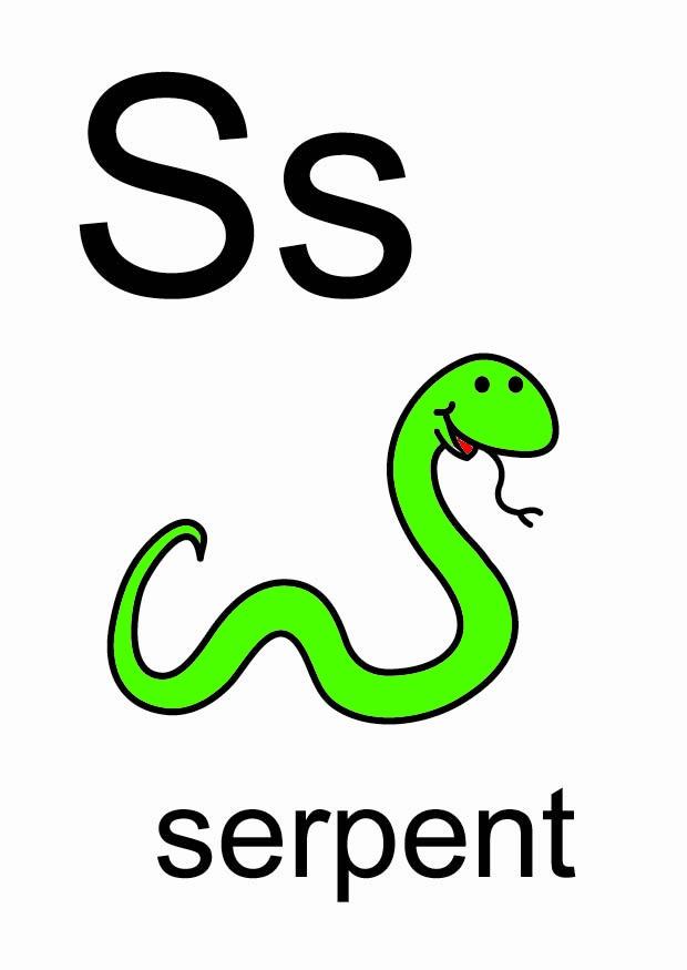 s Afbeelding s