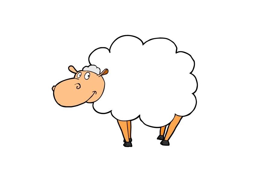 schaap Afbeelding schaap