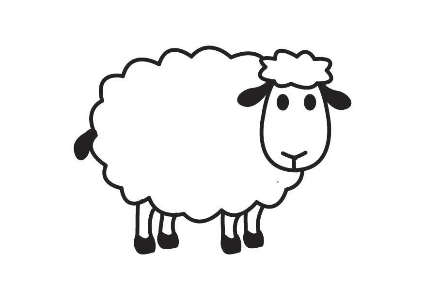 schaap Kleurplaat schaap