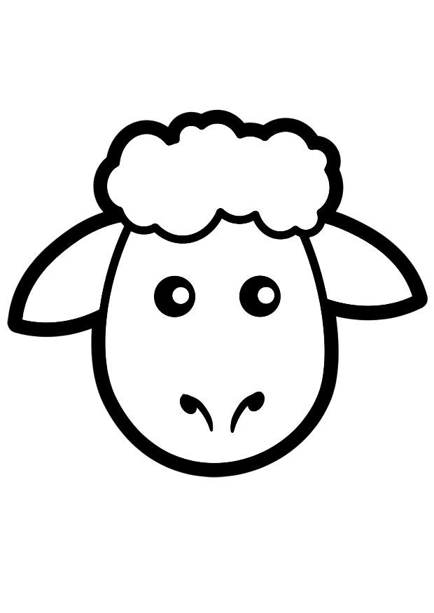 schaap Kleurplaat schaap