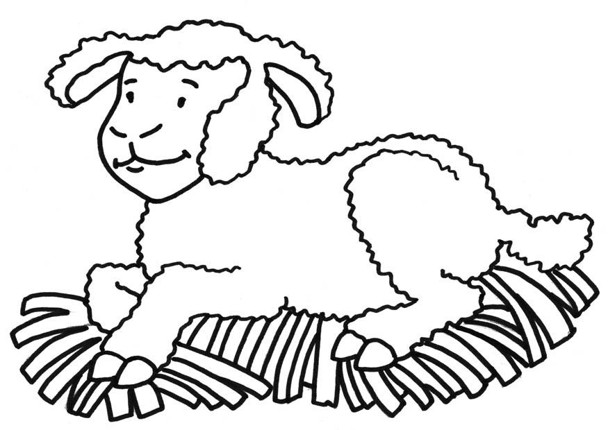 schaap Kleurplaat schaap