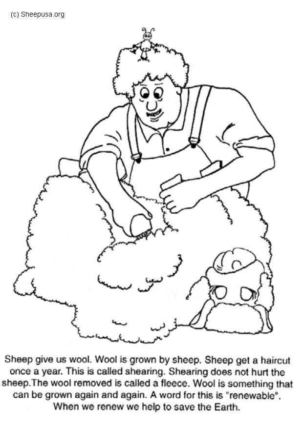 schaap scheren Kleurplaat schaap scheren